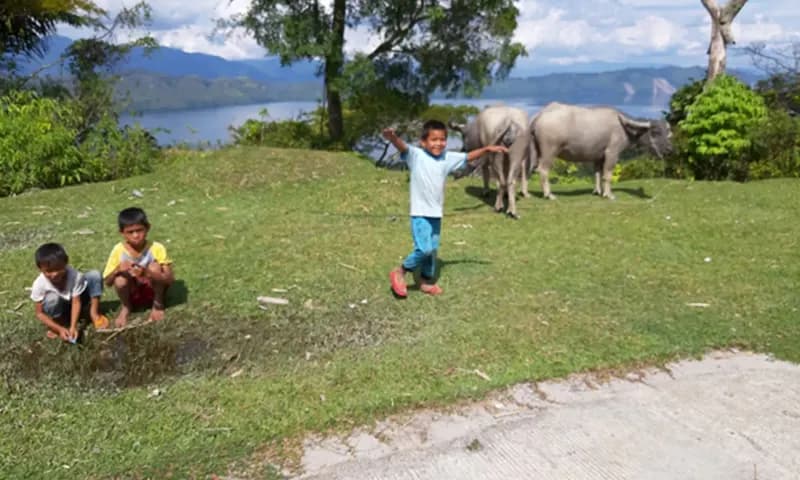 Keceriaan Anak-Anak di Pulau Samosir. (Foto: PARBOABOA/P. Hasudungan Sirait)