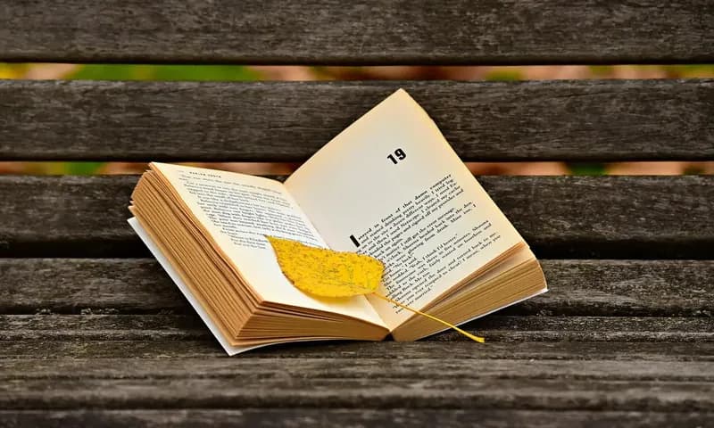 Ilustrasi novel (Foto: Pixabay/Mabel Amber)