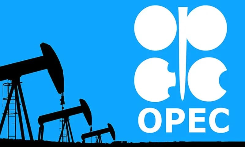 Organisasi OPEC (Foto: Open Source Investigations)