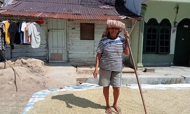 Bendahara Kelompok Tani Maju, Sorta Hutapea. (PARBOABOA/Wati Sihombing)