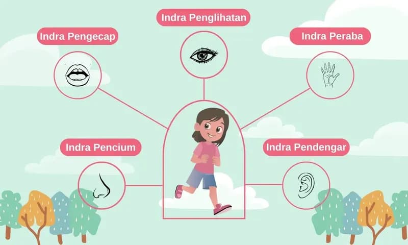 Panca Indera (Foto: Parboaboa/Subastian)