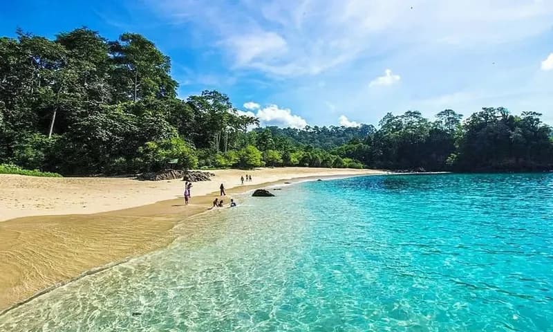 Ilustrasi pantai (Foto: Pinterest/tourbanyuwangi)