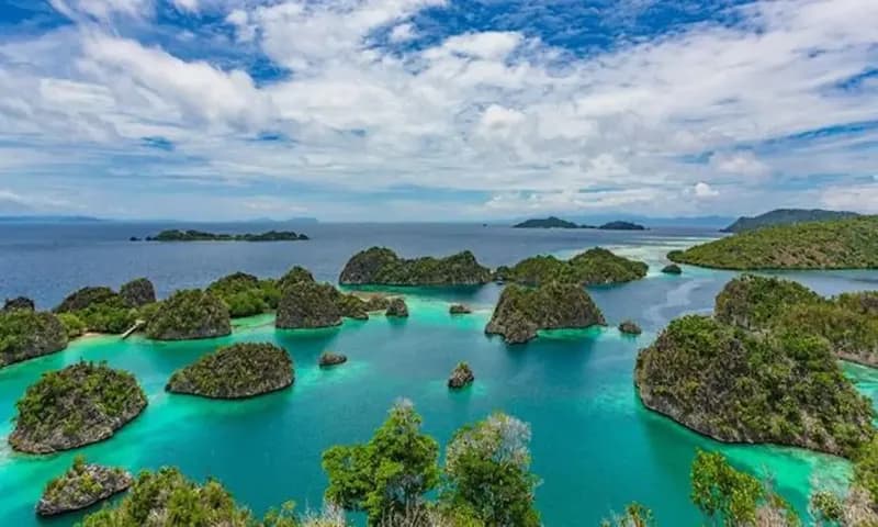 Pantai Raja Ampat (Foto: iStockphoto)