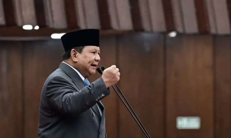 Presiden Prabowo Subianto. (Foto: Dok. ANTARA)