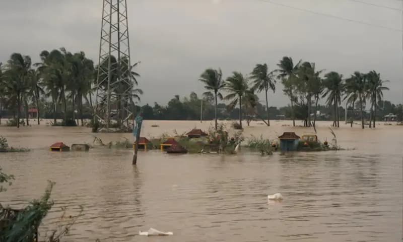Delapan Perusahaan Dicap Berkontribusi pada Banjir Sumut oleh Menteri LH (Foto: Dok. Antara)