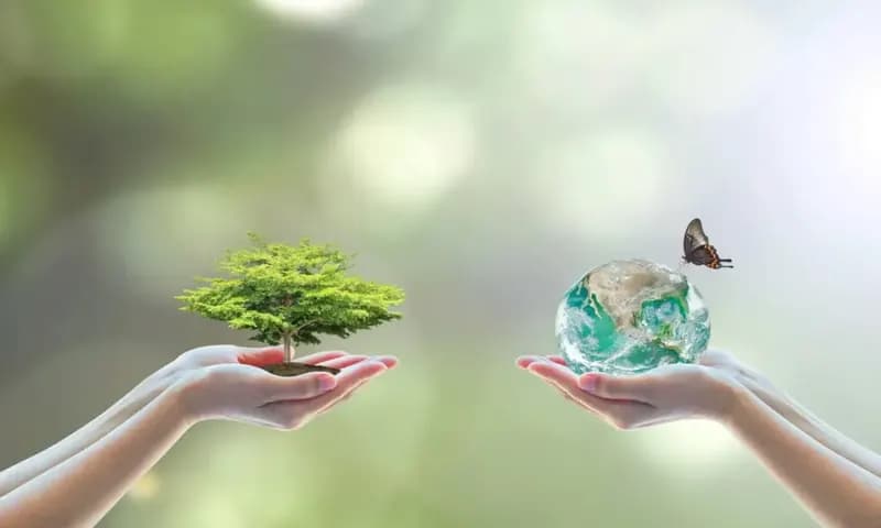 Ilustrasi Pelestarian Lingkungan (Foto : Shutterstock)