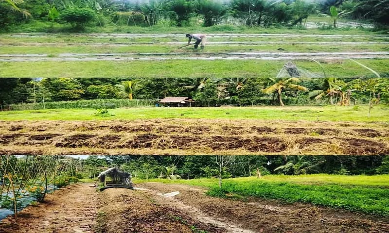 Reformasi agraria di Indonesia belum memberikan keadilan bagi petani. (Foto: Instagram/@spipetani)