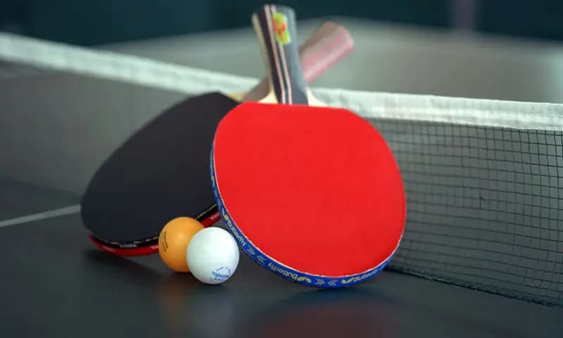 Teknik dasar tenis meja (Foto: familygoodthings.com)