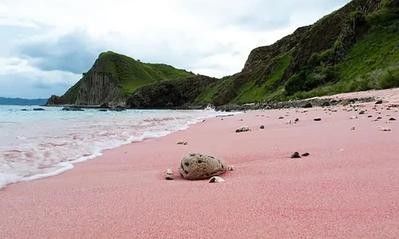 Pink Beach menjadi salah satu pantai terindah yang ada di Indonesia (iStockphoto/Jordan Comley)