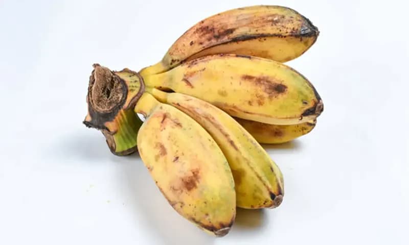 Olahan Pisang Kepok (Foto:Adobe Stock)