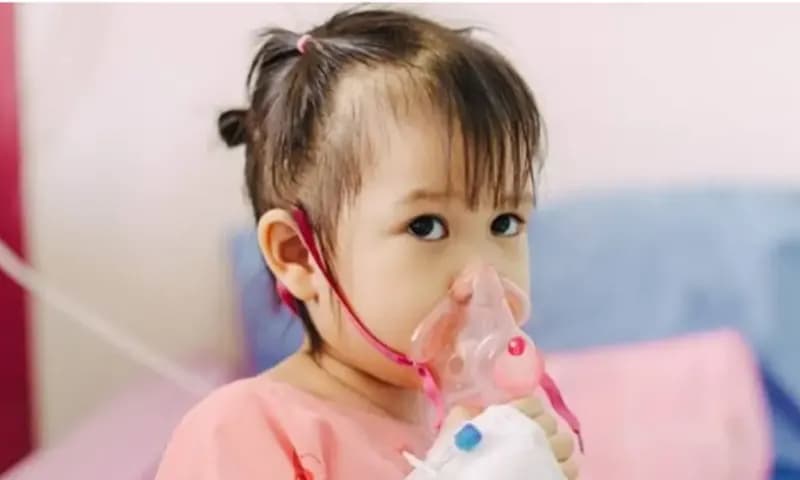 Pneumonia Penyakit Menular yang Paling Berbahaya (Foto:Situs primayahospital)