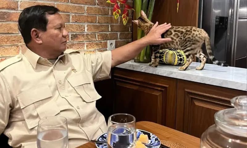 Menteri Pertahanan Prabowo Subianto (Foto:Instagram @prabowo)