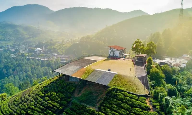 Ilustrasi Tempat wisata Puncak Bogor