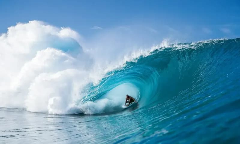 Ilustrasi kegiatan berselancar atau surfing (Foto: SURFER Magazine)