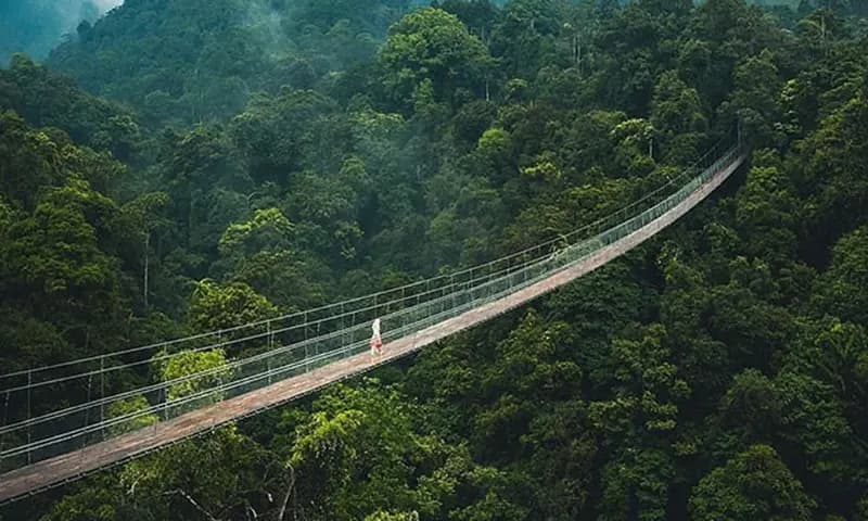 Situ Gunung Sukabumi, foto: Instagram/@nics_mindset