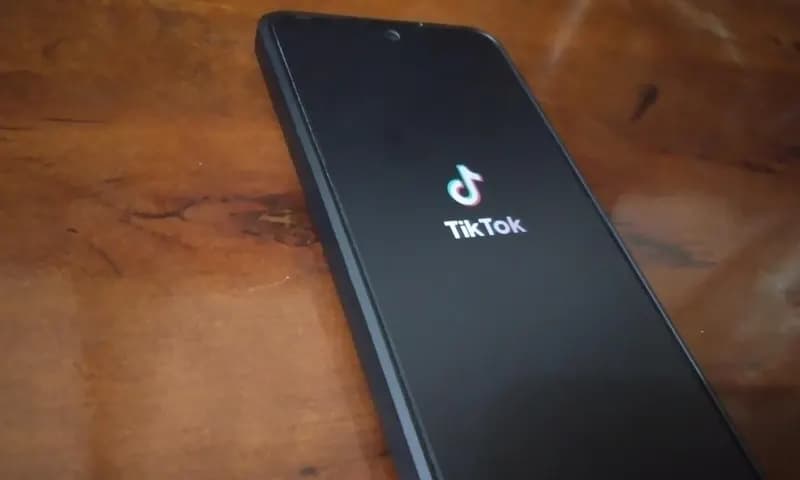 Cara Download Story TikTok tanpa Watermark (Foto: Parboaboa/Juni)