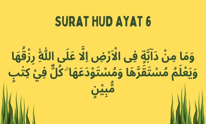 Surat Hud Ayat 6 (Foto: Parboaboa/Ratni)