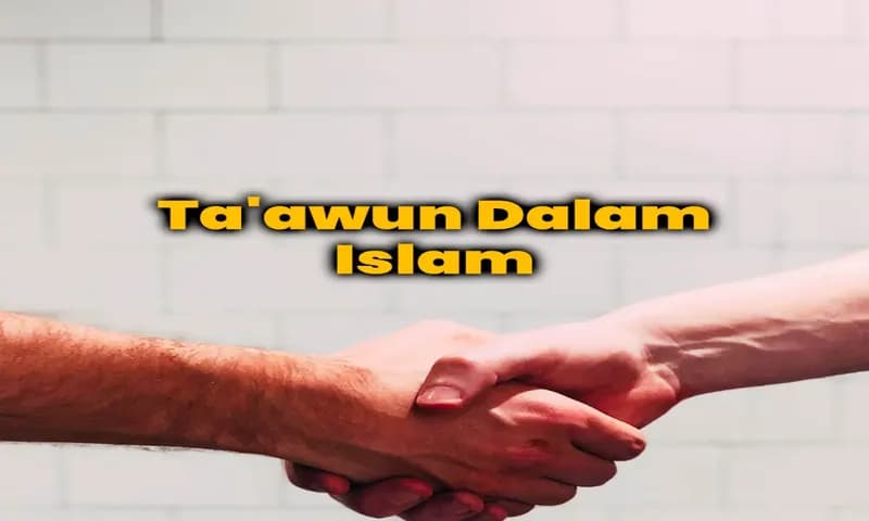 Taawun dalam Islam (Foto : Bimbinganislam.com)