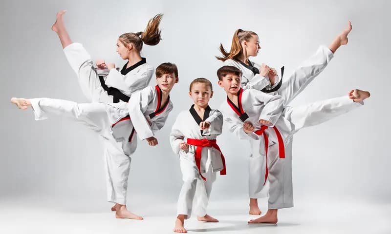 Taekwondo Berasal Dari Negara (Dok: mastkd.com)
