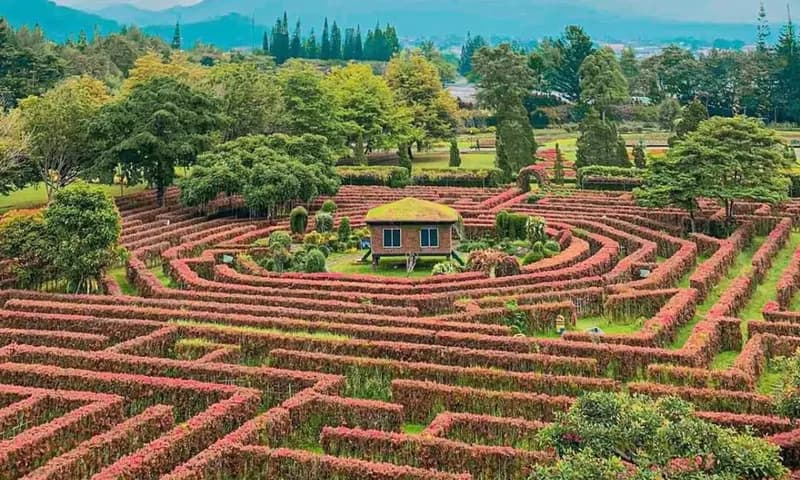 Taman Bunga Nusantara, Cianjur, Jawa Barat, foto: Instagram/@cgallery.idn