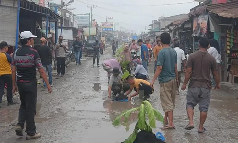 Warga Labuhanbatu gelar aksi tanam seribu pohon di jalan rusak (Foto: Detik)