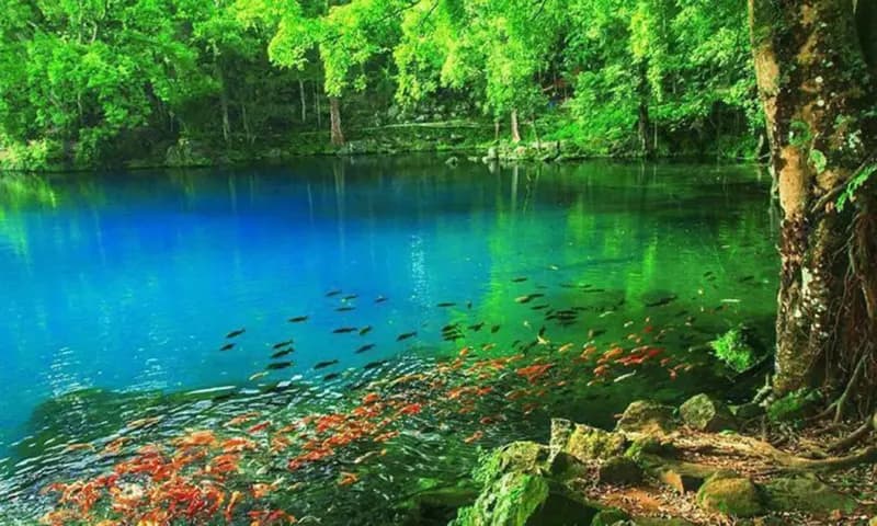 Tempat wisata di Kuningan/Telaga Biru, foto: iTrip.id