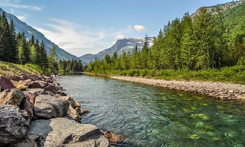 ilustrasi sungai (Foto: iStock)