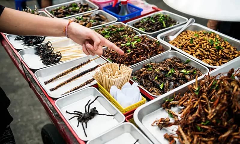 Makanan Ekstrem Thailand (iStock)