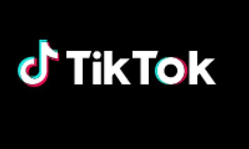 Ide konten TikTok Viral (dok TikTok)