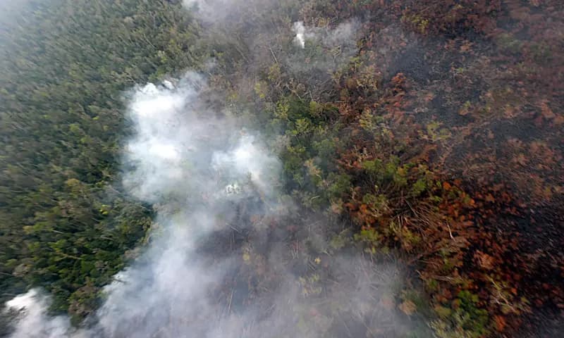 Pantau Gambut mendeteksi ada sekitar 14.437 titik panas yang terpantau melalui satelit selama periode Agustus 2023. (Foto: PARBOABOA/ Bina Karos)