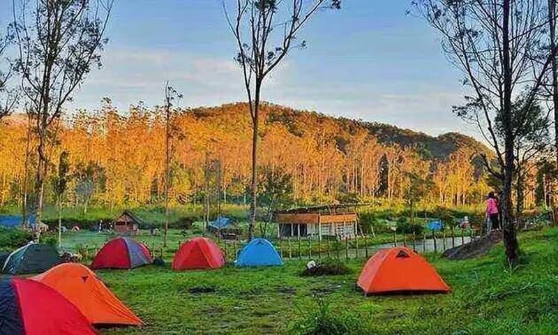 Tempat camping di Bandung, foto: Tempatwisatabandung