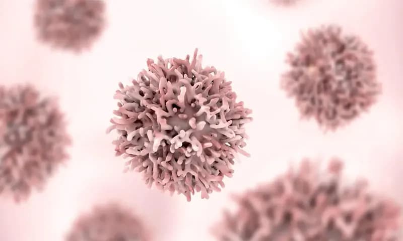 Ilustrasi sel tumor dan kista (orami)