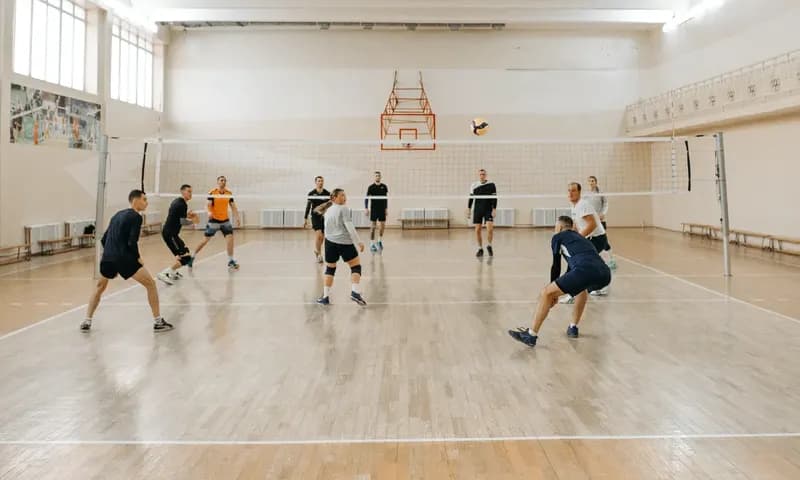 Ukuran lapangan bola voli (Pexels/pavel-danilyuk)