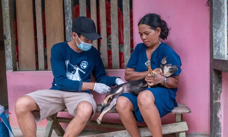 Tim YIARI saat melakukan vaksinasi rabies di Kalimantan Barat. (Foto: Dok. YIARI)