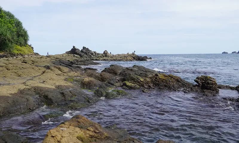 Foto Dari Salah Satu Keindahan Pantai di Gunungkidul. (Foto: PARBOABOA)