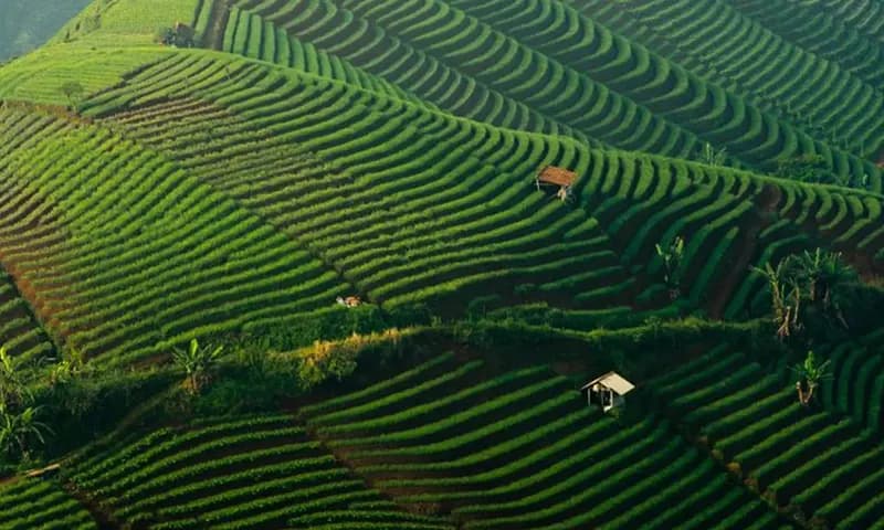 Tempat Wisata di Majalengka, Jawa Barat, foto: Shutterstock