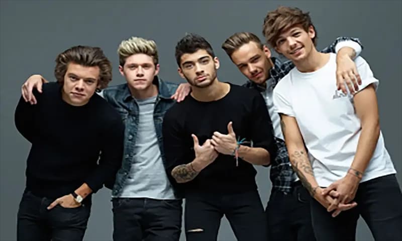 Zayn Malik (Dok:.okezone.com)