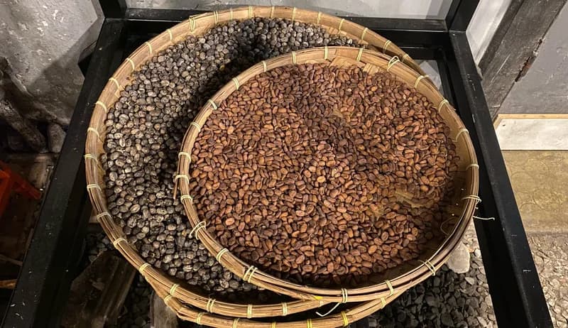 Biji Kopi Simalungun hasil honey process dan natural process (Foto: Indah Cahyani/PARBOABOA).
