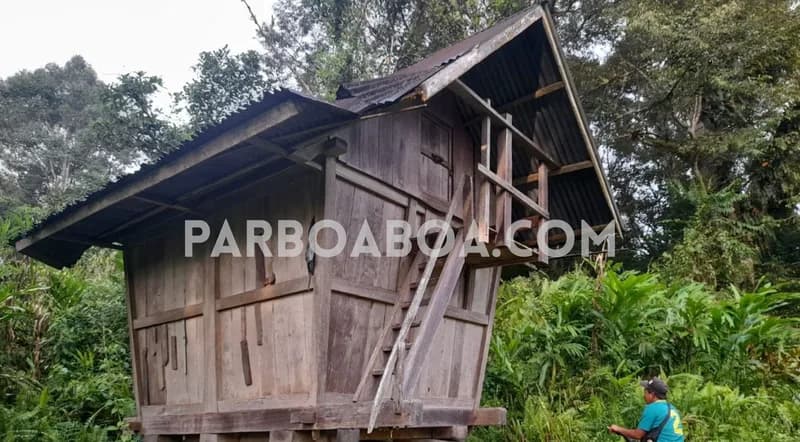 Bilek atau lumbung padi masyarakat Desa Sungai Lisai Kecamatan Pinang Belapis