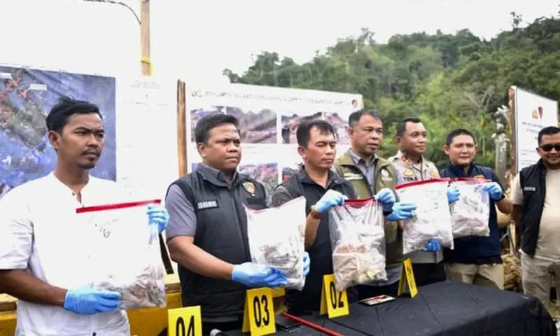 Kemenhut bersama Bareskrim Polri memaparkan hasil identifikasi forensik awal terhadap kayu gelondongan yang terbawa banjir bandang di Garoga, Batangtoru, Tapanuli Selatan, Sumatera Utara. (Foto: Dok. Kemenhut)