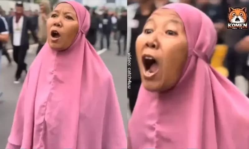 Ibu Jilbab Pink Viral Maki-maki Prabowo dan Ingin Anies Baswedan jadi Presiden (Foto: Dok. x.com/@snowflakemlet)