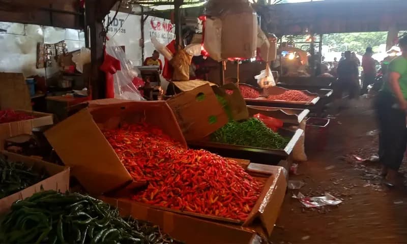 Sehari jelang bulan suci Ramadhan, harga cabai rawit mengalami penurunan dari Rp 90.000 menjadi Rp 70.000 Â per kg di Pasar Induk Kramat Jati, Jakarta Timur, Rabu (22/3/2023). (Foto: Parboaboa/Apri)