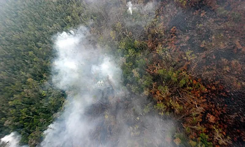 Pemerintah diminta sigap dan bergerak cepat memadamkan kebakaran hutan dan lahan (Karhutla) dengan menggunakan teknik modifikasi cuaca dan water bombing agar asap tidak melintasi negara tetangga. (Foto: PARBOABOA/Bina Karos)
