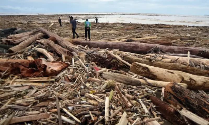 Sejumlah warga berjalan di antara potongan kayu gelondongan yang bertumpuk di pantai Air Tawar, Padang, Sumatera Barat, Jumat (28/11/2025). (Foto: Dok. ANTARA)