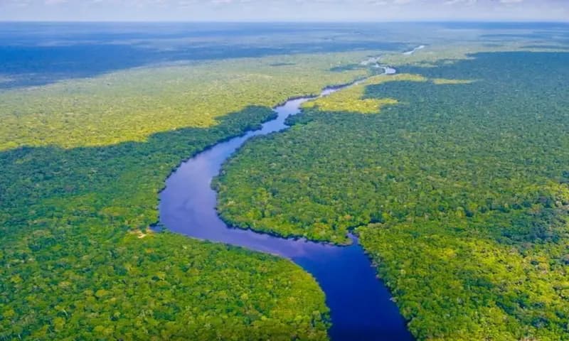 Sungai Amazon di Amerika Selatan yang merupakan sungai terpanjang di dunia ke dua setelah Sungai Nil (Foto: Instagram/@rivers_are_life)
