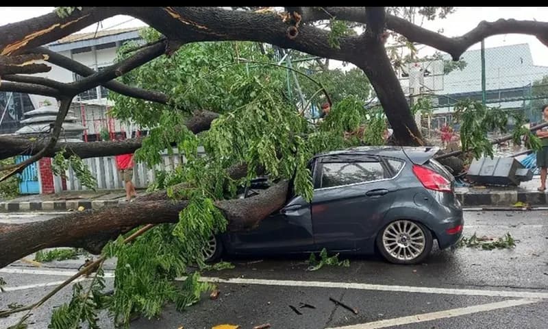 Pohon tumbang timpa mobil di Tangerang akibat hujan disertai angin kencang. (Foto: detikcom)