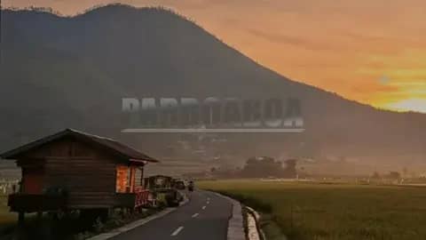 Saat Sawah Memanggil Orang-Orang Datang