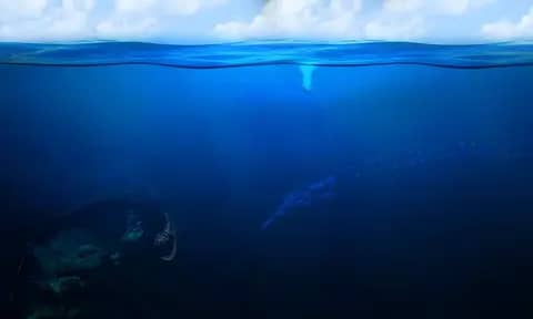 Thalassophobia: Ciri-Ciri, Penyebab dan Cara Mengatasi
