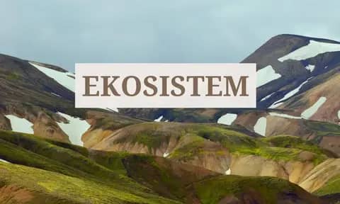 Ekosistem Adalah: Pengertian, Ciri, Fungsi, Jenis, Komponen, dan Contohnya