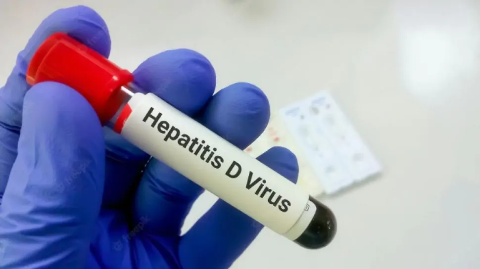 apa itu hepatitis